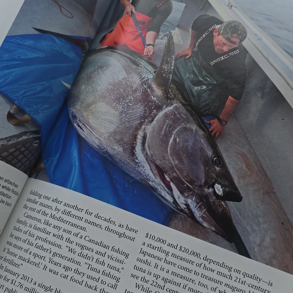 2014 National Geographic Magazine lot of 2 Black Holes Romes Bad Boy Nero JJ art - Picture 7 of 8